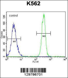 Anti-NOS3 Rabbit Polyclonal Antibody (AP (Alkaline Phosphatase))