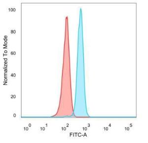 Flow cytometric analysis of PFA-fixed HeLa cells using Anti-FOXB2 Antibody [PCRP-FOXB2-2B2] followed by Goat Anti-Mouse IgG (CF&#174; 488) (Blue). Isotype Control (Red).