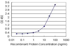 Anti-PLEKHO2 Polyclonal Antibody Pair