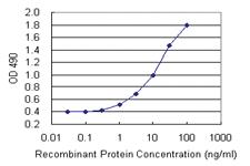 Anti-PLEKHO2 Polyclonal Antibody Pair