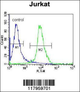 Anti-ELMO2 Rabbit Polyclonal Antibody (FITC (Fluorescein Isothiocyanate))