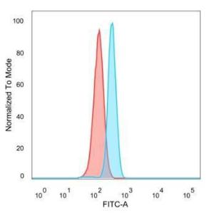 Flow cytometric analysis of PFA-fixed HeLa cells using Anti-SIRT1 Antibody [PCRP-SIRT1-1E11] followed by Goat Anti-Mouse IgG (CF and #174; 488) (Blue). Isotype Control (Red)