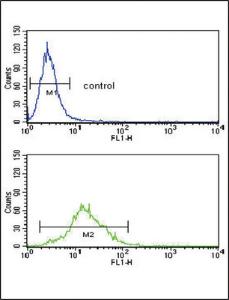 Anti-SREBF1 Rabbit Polyclonal Antibody (APC (Allophycocyanin))