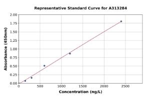 Representative standard curve for human B MyB ELISA kit (A313284)