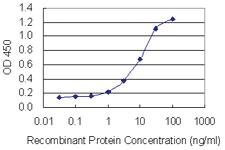 Anti-OVGP1 Mouse Monoclonal Antibody [clone: 3F9]