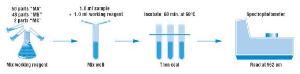 Pierce™ Micro BCA™ Protein Assay Kit and Reagents