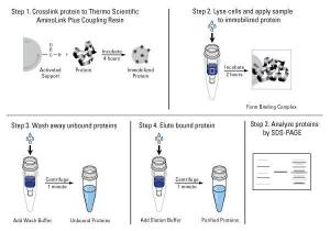 AminoLink™ Plus micro immobilisation kit, Pierce™