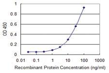 Anti-STARD3 Mouse Monoclonal Antibody [clone: 1D1]