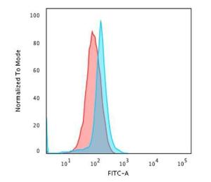 Flow cytometric analysis of paraformaldehyde fixed Jurkat cells using Anti-CD45 Antibody [PTPRC/1666] followed by Goat Anti-Mouse IgG (CF&#174; 488) (Blue). Isotype Control (Red).