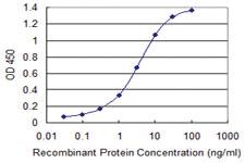 Anti-GSTA2 Mouse Monoclonal Antibody [clone: 3D4]