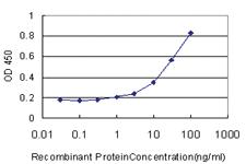 Anti-MS4A7 Mouse Monoclonal Antibody [clone: 2D3]