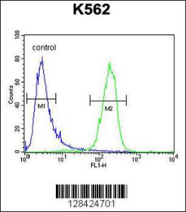 Anti-SLC25A52 Rabbit Polyclonal Antibody (AP (Alkaline Phosphatase))