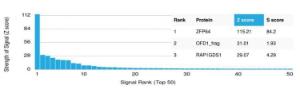 Analysis of protein array containing more than 19,000 full-length human proteins using Anti-ZFP64 Antibody [PCRP-ZFP64-1H2]