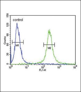 Anti-VLDLR Rabbit Polyclonal Antibody (HRP (Horseradish Peroxidase))