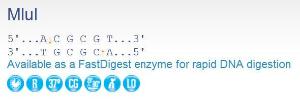 FERMER0561 - ENZYME MLUI 1000 UNITS