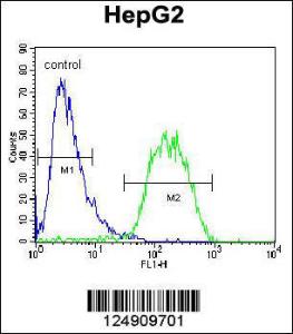 Anti-BUD13 Rabbit Polyclonal Antibody (HRP (Horseradish Peroxidase))