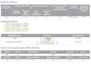 FERMFD1074 - ENZYME FD MNLI 50µL (50RXN)