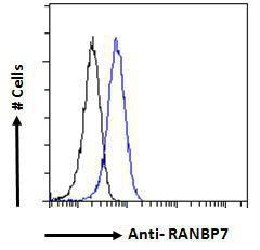 Anti-IPO7 Antibody (A83863) - Flow cytometric analysis of paraformaldehyde fixed HeLa cells (blue line), permeabilized with 0.5% Triton