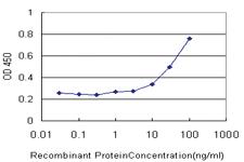 Anti-GHRL Mouse Monoclonal Antibody [clone: 4E5]