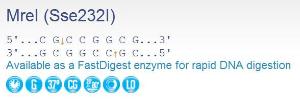 FERMER2021 - ENZYME MREI 3000 UNITS