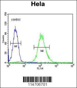 Anti-CCNG1 Rabbit Polyclonal Antibody