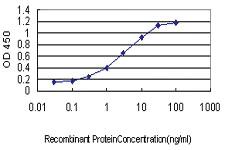 Anti-CD48 Mouse Monoclonal Antibody [clone: 3B8-2C2]