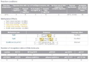 FERMFD1344 - ENZYME FD MSSI 100µL (100RXN)