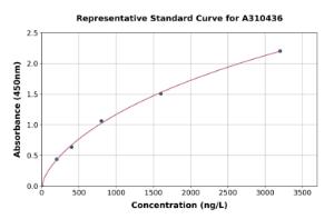 Representative standard curve for Human Syntaxin 8 ELISA kit (A310436)