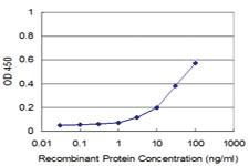 Anti-GHRL Mouse Monoclonal Antibody [clone: 2F2]