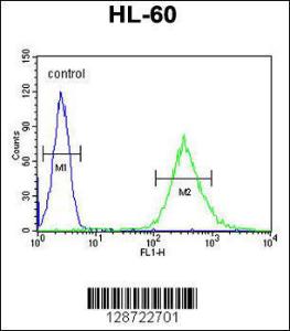 Anti-ENASE Rabbit Polyclonal Antibody (AP (Alkaline Phosphatase))