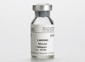 Corning® mouse laminin (from Engelbreth-Holm-Swarm mouse tumour)