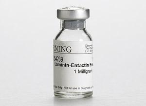 Corning® mouse laminin (from Engelbreth-Holm-Swarm mouse tumour)