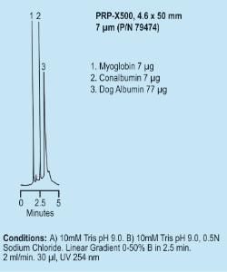 Colonnes HPLC d'échange anionique, PRP-X500