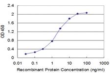 Anti-FAS Mouse Monoclonal Antibody [clone: 1D6]