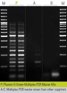 Master mixes, green multiplex, Phusion® U 