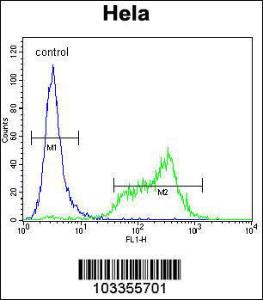 Anti-SRPK1 Rabbit Polyclonal Antibody (FITC (Fluorescein))