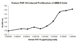 Human recombinant FGF-10 (from <i>E. coli</i>)