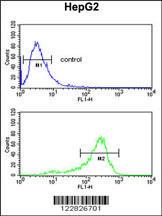 Anti-ACY3 Rabbit Polyclonal Antibody (FITC (Fluorescein))