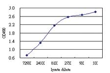 Anti-HMG20B Antibody Pair