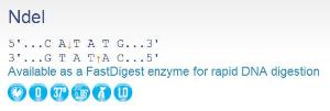 Restriction enzyme, NdeI, Fermentas