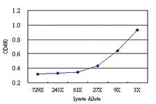 Anti-PLEK Antibody Pair