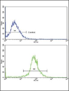 Anti-APRT Rabbit Polyclonal Antibody (Biotin)