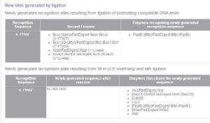 FERMER0975 - ENZYME NHEI 1000 UNITS