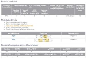 FERMFD1514 - ENZYME FD NMUCI 20µL (20RXN)