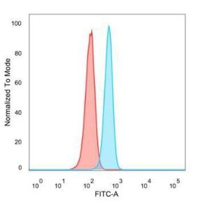 Flow cytometric analysis of PFA-fixed HeLa cells using Anti-Myogenin Antibody [PCRP-MYOG-1C5] followed by Goat Anti-Mouse IgG (CF and #174; 488) (Blue). Isotype Control (Red)