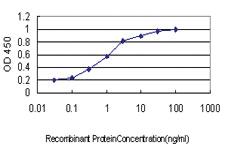 Anti-PCTP Mouse Monoclonal Antibody [clone: 1F9]