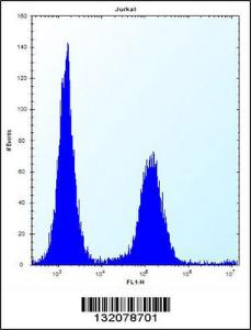 Anti-ENOX2 Rabbit Polyclonal Antibody (FITC (Fluorescein Isothiocyanate))