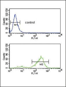 Anti-VTN Rabbit Polyclonal Antibody (AP (Alkaline Phosphatase))