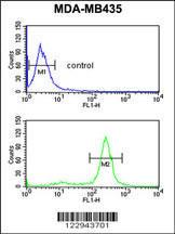 Anti-PRKAA1 Rabbit Polyclonal Antibody (Biotin)