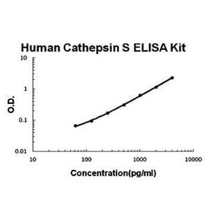 Human cathepsin S ELISA kit